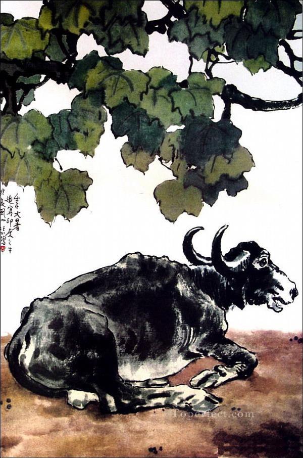 Xu Beihong a cattle old Chinese Oil Paintings
